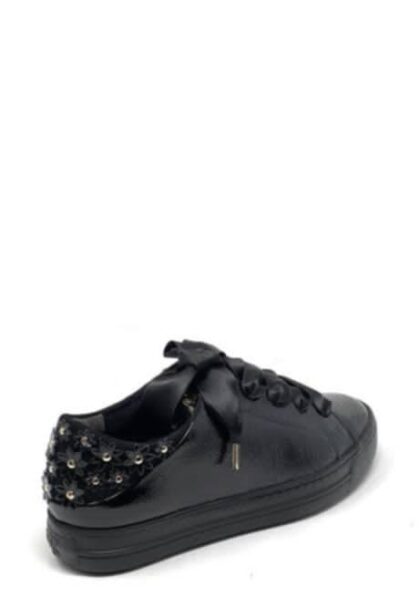Wollos