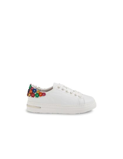 Wollos