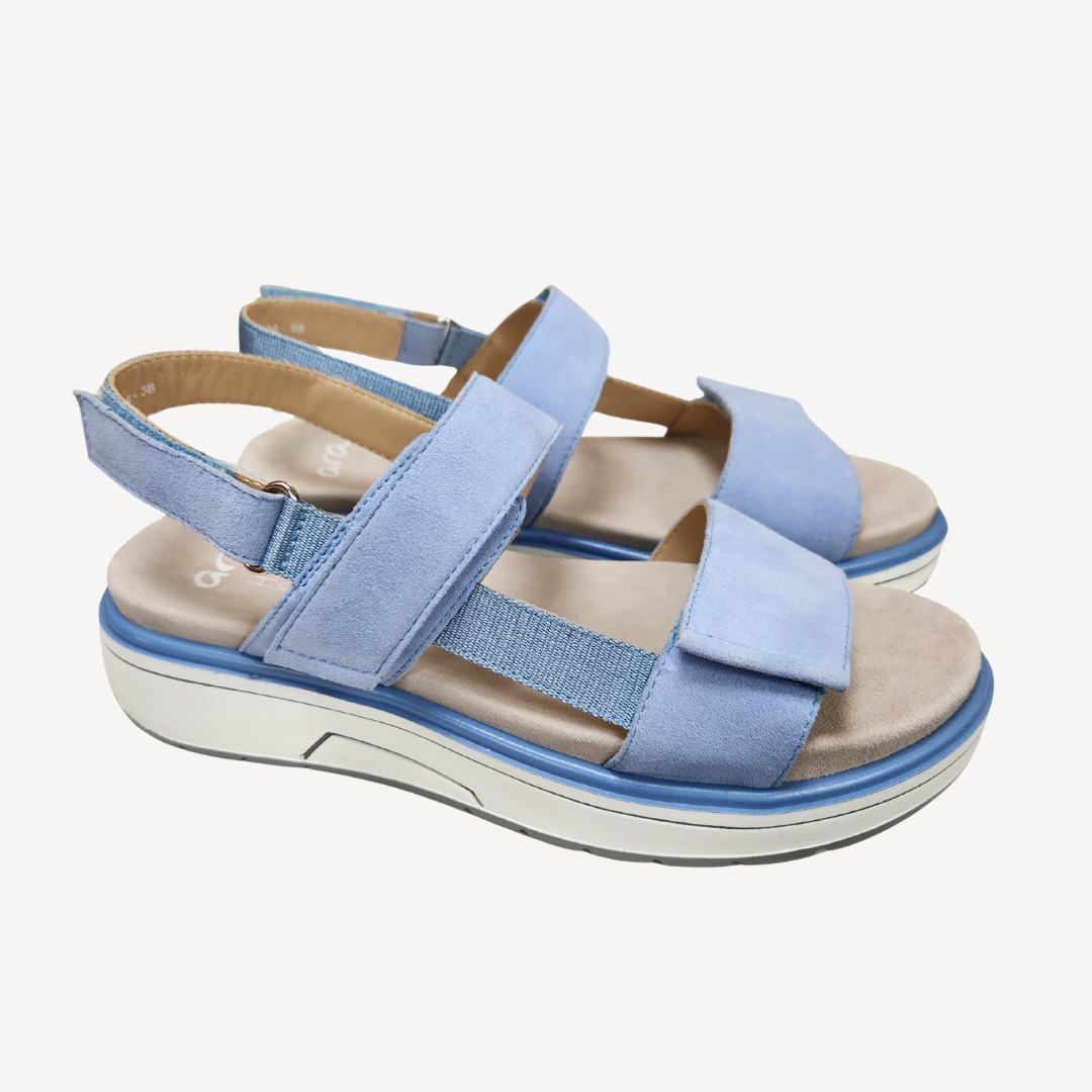 Ara-Lucca-Blue.png