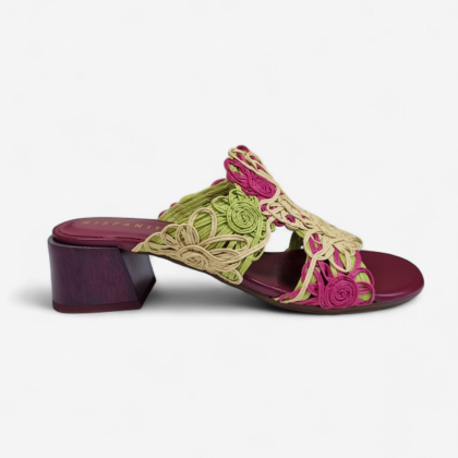 Tulipan HV264841