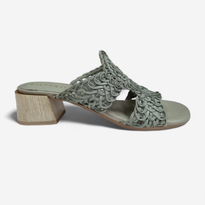Tulipan HV264602